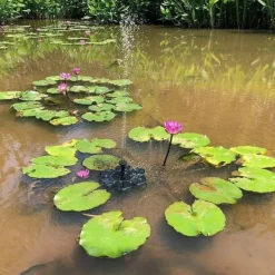 OBOSOE Solar Fountain Solar Powered Fountain Vand Springvand / Vandpumpe Springvand & Damme