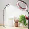 Hot OBOSOE 50W Grow Light - 6000K Fuldspektret LED Grow Light med timer 4/8/12h og højdejustering - Perfekt til indendørs planter Krukkeplanter Indendørs