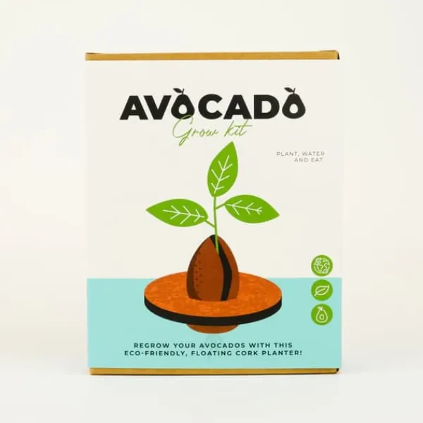 Kit Til Plante- & Urtedyrkning^Odlingskit Avocado, Gift Republic Ltd.