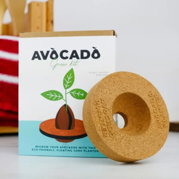 Kit Til Plante- & Urtedyrkning^Odlingskit Avocado, Gift Republic Ltd.