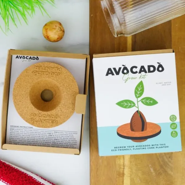 Kit Til Plante- & Urtedyrkning^Odlingskit Avocado, Gift Republic Ltd.