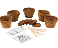 Kit Til Plante- & Urtedyrkning^Odlingskit Köttätande Växt Gift Republic Ltd.