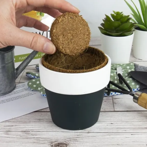 Kit Til Plante- & Urtedyrkning^Odlingskit Öl Gift Republic Ltd.