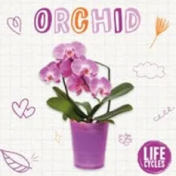 Blomster^Orchid