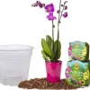 Kit Til Plante- & Urtedyrkning^Orkidéjordsæt med potte 1,1 L