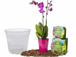 Kit Til Plante- & Urtedyrkning^Orkidéjordsæt med potte 1,1 L