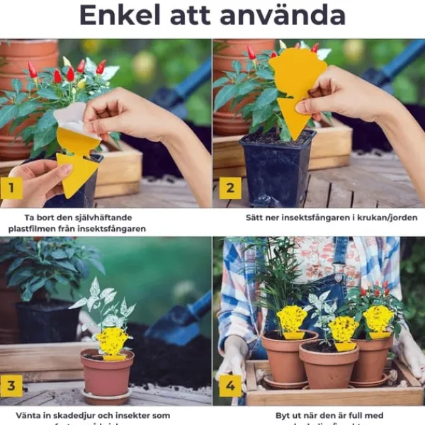 Online 12-pak insektfælder til rabat / planter / frøplanter Skadedyrsfælder