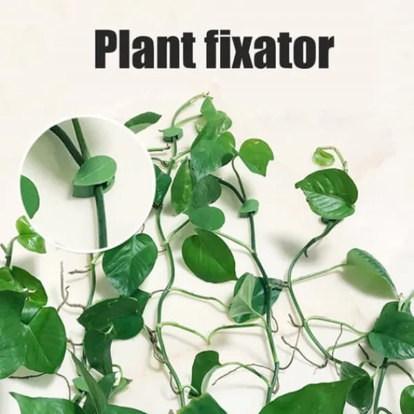 Discount Pakke med 50 selvklæbende planteholdere, planteklemmer, klatreplanter, fastgørelsesklemmer til vægplanter til støtteplantning Krukker & Plantebeholdere