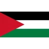 New Palæstinens flag Free Palestina Flag & Vindposer