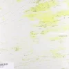 Frø^Pater Nembrot Sequoia Seeds (Vinyl) New