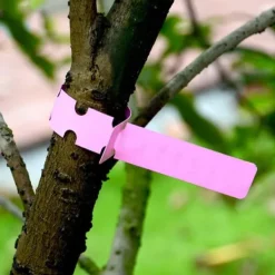 Haveplanter^300pcs planteetiketter plantetræetiketter udendørs vandtæt plastfolie hængende planteskole haveetiketter bunkemarkører genanvendelige
