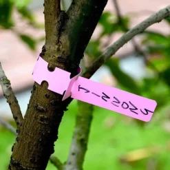 Haveplanter^300pcs planteetiketter plantetræetiketter udendørs vandtæt plastfolie hængende planteskole haveetiketter bunkemarkører genanvendelige