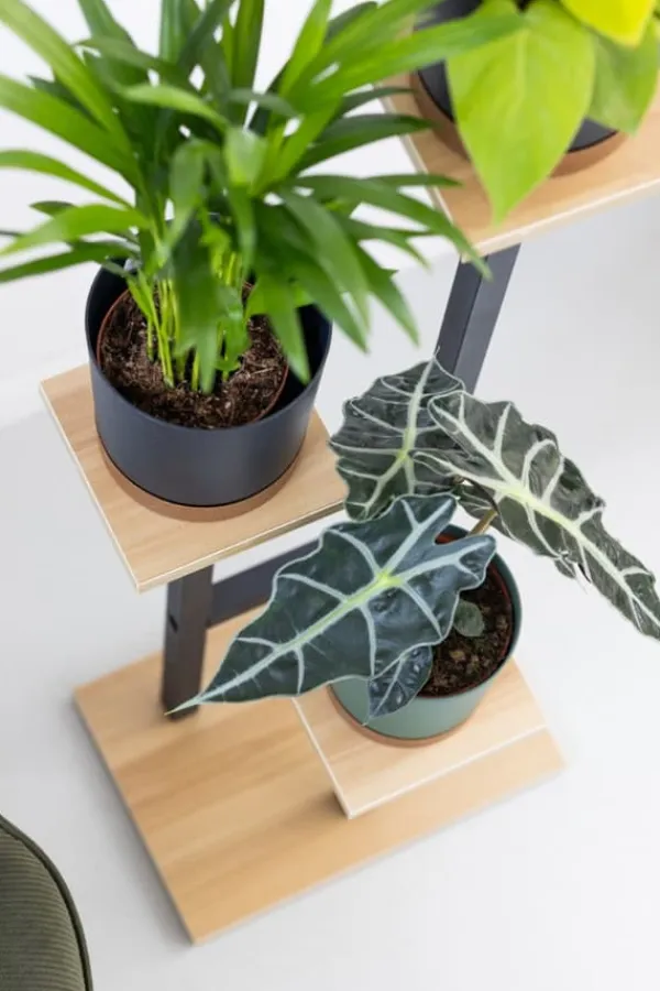 Discount PEAK universal blomsterstander - sort, 3-etagers blomsterstander til 3 potter Plantestativer