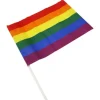 Flag & Vindposer^Pennant Medium LGBT+ Colors