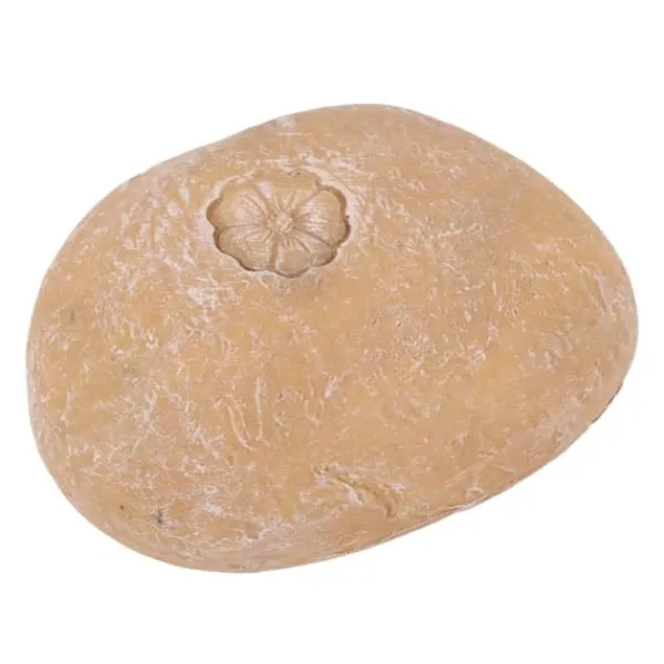 Havesten & Trædesten^Pet Memorial Garden Stone DIY Bogstaver Småsten - Små blomstersand Gul sten til hunde og katte