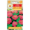 Frø^Pink dahlia zinnia frø - Store, dobbelte blomster til blomsterbede og buketter