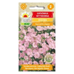 Frø^Pink sommerliljefrø - Let og luftig blomstring til blomsterbede og buketter