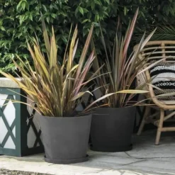 Online Plant pot Deroma Krukkeplanter Indendørs