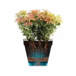 Online Plant pot Elho Krukker & Plantebeholdere