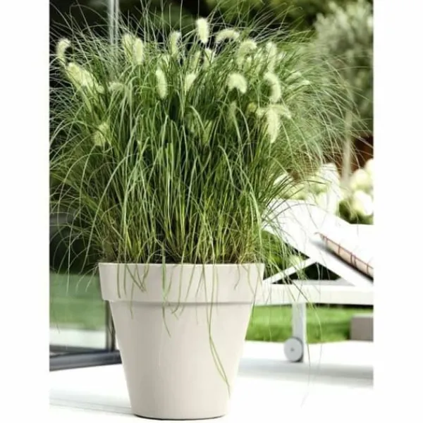 Sale Plant pot Elho White 39 x 36 cm Krukkeplanter Indendørs