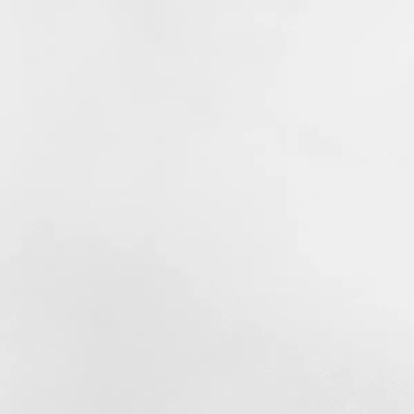 Haveduge^Plantebeskyttelse med snore - Vinterbeskyttelse | Størrelse: 0,8x1 m | 4 stk. 70 g/m²