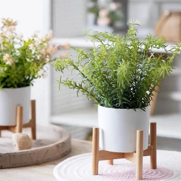 Plantebord, Bambusmateriale, Dimensioner 50cm x 30cm x 80cm, Vægtkapacitet 20kg pr. hylde, Indendørs og udendørs kompatibilitet Plantestativer