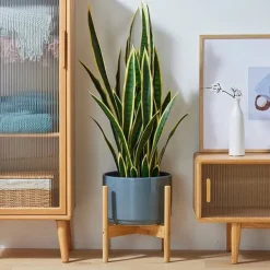 Plantebord, Bambusmateriale, Dimensioner 50cm x 30cm x 80cm, Vægtkapacitet 20kg pr. hylde, Indendørs og udendørs kompatibilitet Plantestativer