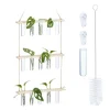 Kit Til Plante- & Urtedyrkning^Planteformeringsstation, 86x35.5x4.5 cm, Natur