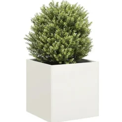 Outlet Plantekasse i koldvalset stål - Højbed til planter | Størrelse: 40x40x40 cm | Farve: Hvid Krukkeplanter Indendørs