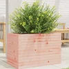 Hot Plantekasse i massivt douglasgran - Stabil og dekorativ | Størrelse: 70x40x45,5 cm Krukker & Plantebeholdere