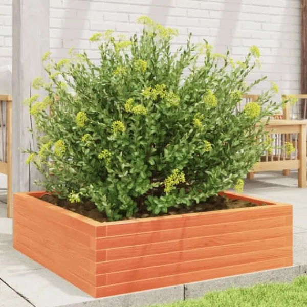 Plantningsbænke^Plantekasse i massivt fyrretræ - 80x80x23 cm | Farve: Gyldenbrun