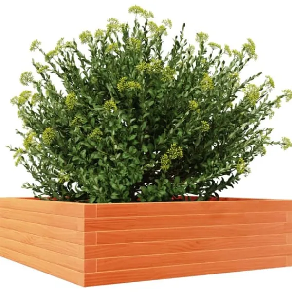 Plantningsbænke^Plantekasse i massivt fyrretræ - 80x80x23 cm | Farve: Gyldenbrun