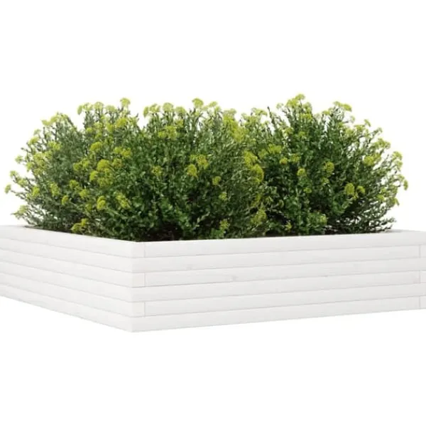 Best Plantekasse i massivt fyrretræ - Dybde 100 cm | Farve: Hvid | Størrelse: 100x100x23 cm Plantningsbænke
