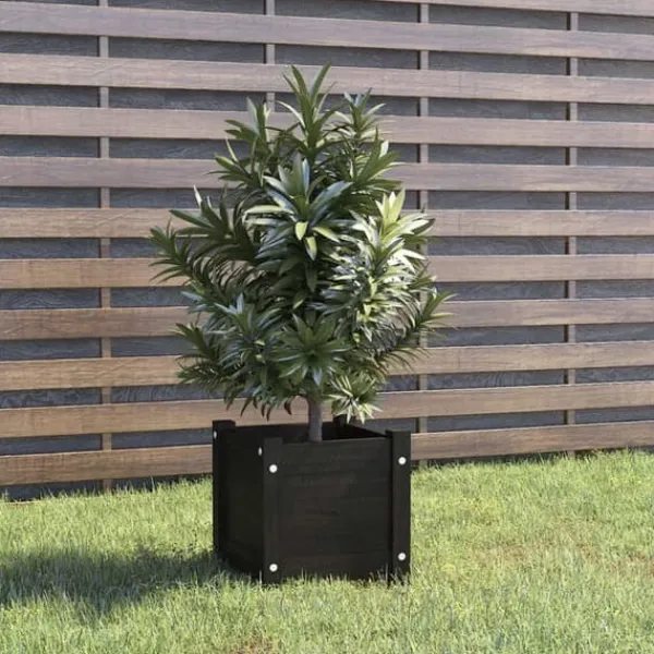 Krukker & Plantebeholdere^Plantekasse i massivt fyrretræ - Blomsterkasse | Størrelse: 31x31x31 cm | Farve: Sort