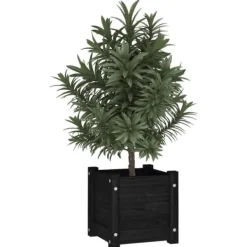Krukker & Plantebeholdere^Plantekasse i massivt fyrretræ - Blomsterkasse | Størrelse: 31x31x31 cm | Farve: Sort