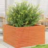 Krukker & Plantebeholdere^Plantekasse i massivt fyrretræ - Robuste blomsterkasser | Størrelse: 80x80x46 cm | Farve: Gyldenbrun
