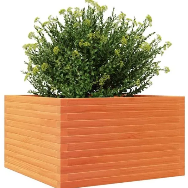 Krukker & Plantebeholdere^Plantekasse i massivt fyrretræ - Robuste blomsterkasser | Størrelse: 80x80x46 cm | Farve: Gyldenbrun