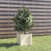 Krukker & Plantebeholdere^Plantekasse i massivt fyrretræ - Ideel til planter og blomster | Størrelse: 31x31x31 cm | Farve: Hvid