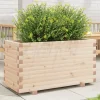 Online Plantekasse i massivt fyrretræ - Robust design til blomster | Størrelse: 90x40x49,5 cm Plantningsbænke