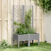 Best Plantekasse med espalier - Klatreplante støtte | Størrelse: 80x40x142 cm | Farve: Lysegrå Krukker & Plantebeholdere