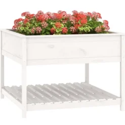 New Plantekasse med hylde - Højbede i massivt fyrretræ | Størrelse: 111,5x111,5x81 cm | Farve: Hvid Plantningsbænke