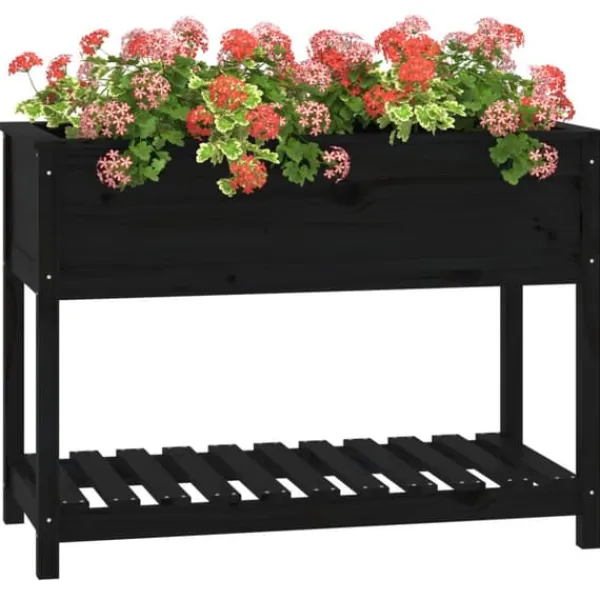 New Plantekasse med hylde i massivt fyrretræ - Ergonomisk design | Størrelse: 111,5x54x81 cm | Farve: Sort Plantningsbænke