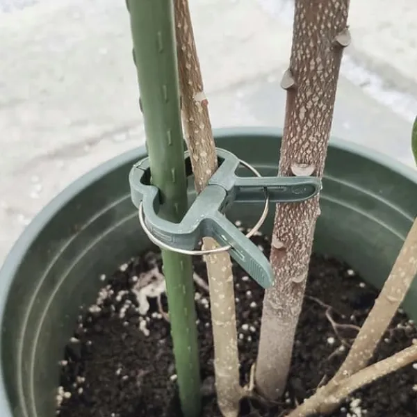 Discount Planteklemmer - 108 stk Plantestøtter Krukker & Plantebeholdere