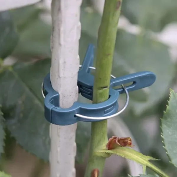 Discount Planteklemmer - 108 stk Plantestøtter Krukker & Plantebeholdere