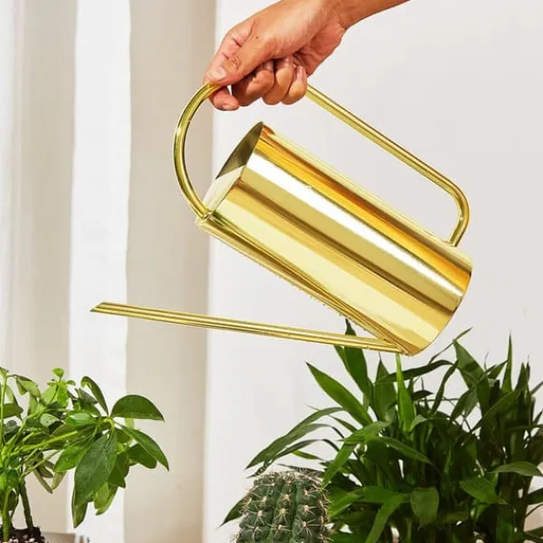 Vanding^Planter Vandkande Lang Tud 1500ml Stor Kapacitet Vandkedel Rustfrit Stål Potte Haveartikler Guld Farve