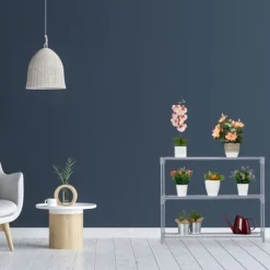 Plantestativer^Plantereol, 72x91x28 cm, Grå
