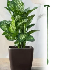 Clearance Plantestativ - Støtte til planter/blomster i jord - 17 cm Krukkeplanter Indendørs