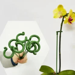 Clearance Plantestativ - Støtte til planter/blomster i jord - 17 cm Krukkeplanter Indendørs