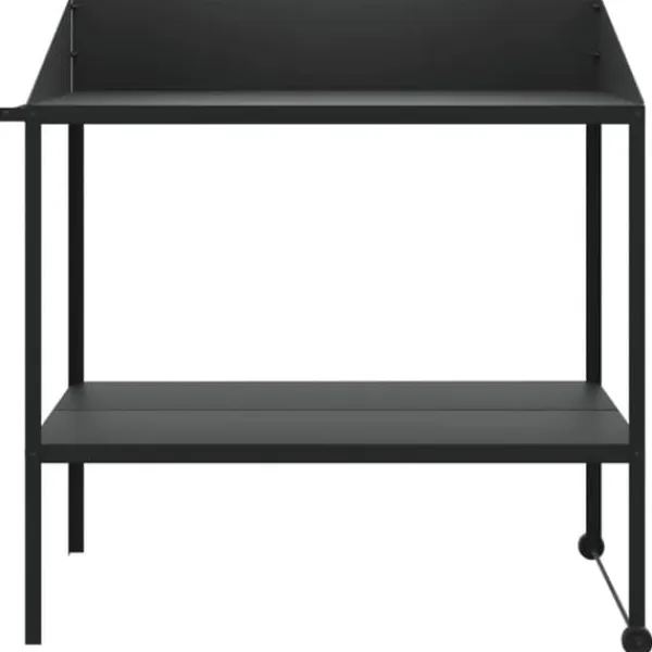 Plantestativer^Plantestativ i galvaniseret stål - 2 hylder | Farve: Antracitgrå | Størrelse: 100x54,5x100 cm