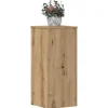 Plantestativer^Plantestativer i 2 stk. - Stabilt og slidstærkt funktionelt design | Størrelse: 30x30x70 cm | Farve: Egetræsfarvet